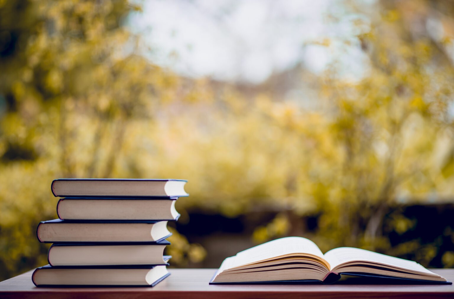 Exploring Emotional Healing in the Best Spiritual Awakening Books for Christian Women